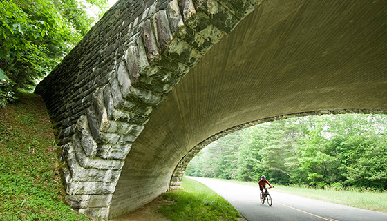Asheville to Greenville Bike Tour